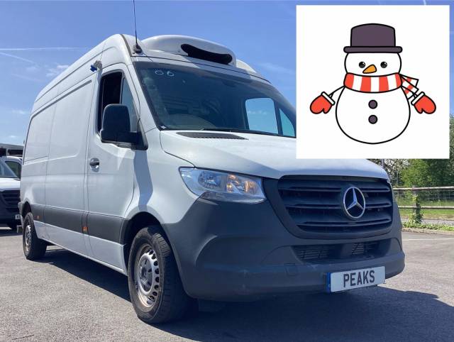 Mercedes-Benz Sprinter 2.1 FREEZER -20DEGREE STANDBY 🧊 🚚 Temperature Controlled Diesel White
